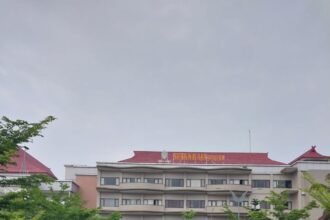 IMG 20231115 WA0029