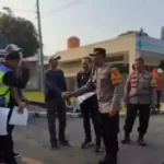 25050196db