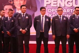 01E785F6 3AB6 41E1 86EA DB33091218DA