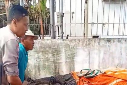 9CF8C77A 4DC9 45A9 87EC 10E6347C81D5