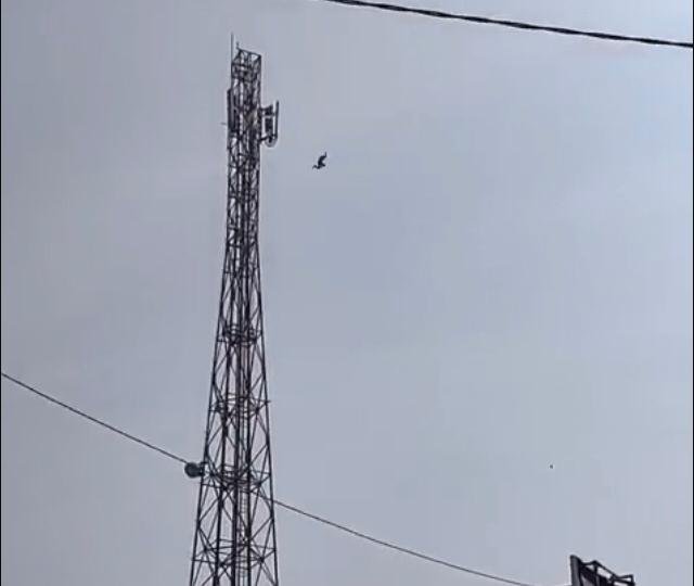 9E4C15B5 6753 43C5 8CE8 2561F9D9A24C