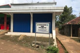 1CD82DA7 C780 40EB 81DC DA1FAEF8B74F