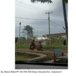 13BDD39B E818 41DC 909B 803FF8FB9EC2