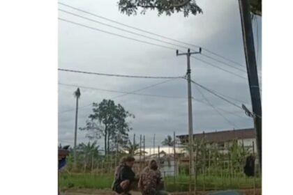 13BDD39B E818 41DC 909B 803FF8FB9EC2